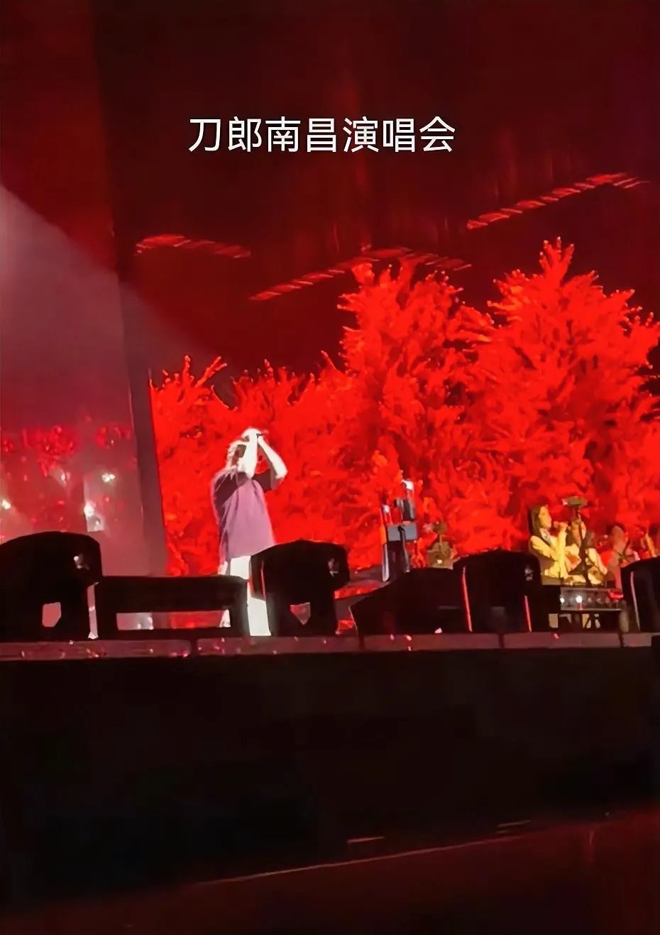 关于TheShy重返赛场，败北首场状态出色，篮网观众沸腾！的信息